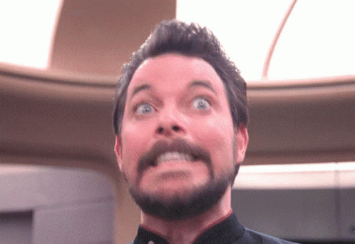 gif /img/will-riker-riker.gif