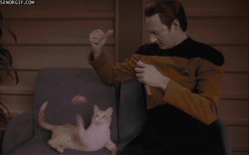 gif /img/6tVjpHjrEWX28.gif