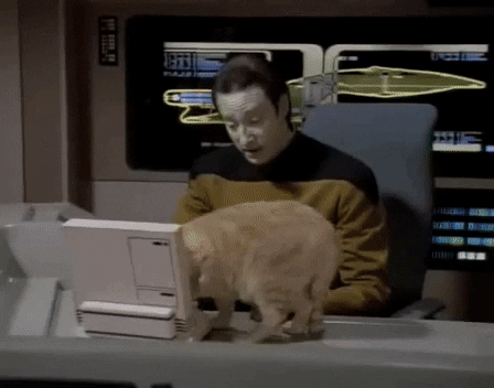 /img/IMdS79sQINRAY.gif