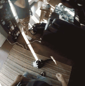 gif /img/Wsk5V26W0jVYur1f9Z.gif