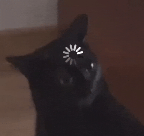 gif /img/pVXyJy2k7WO1n49bGg.gif